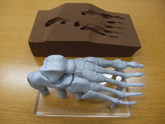 Anatomic Human　Foot　３D砂型積層造形　人間の足の骨構造