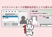 マイナンバーカード　道路交通法　【2022/3/11ブログ】