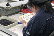 【工程紹介】ゴムの検査工程